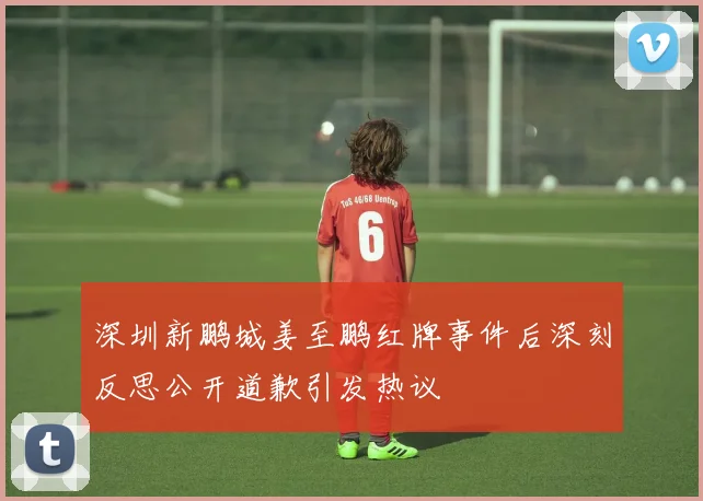 深圳新鹏城姜至鹏红牌事件后深刻反思公开道歉引发热议