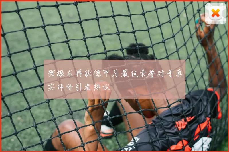 樊振东再获德甲月最佳荣誉对手真实评价引发热议