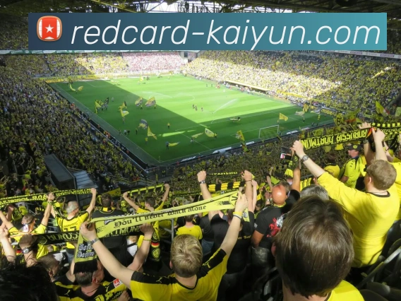 开云app平台生态图