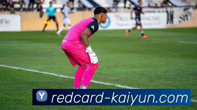 开云appAPP 封面图