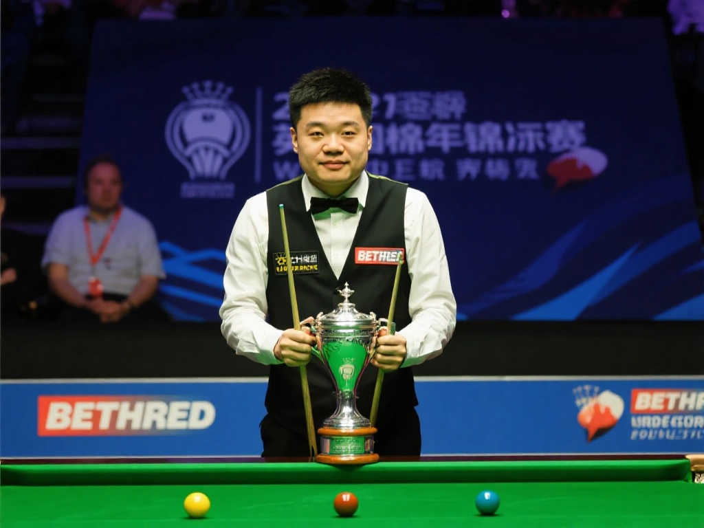 森納的球迷 森納的球迷